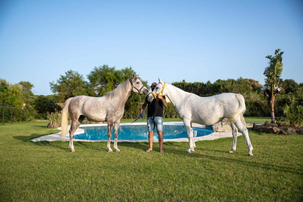 Agriturismo Santa Lucia Tratalias Εξωτερικό φωτογραφία