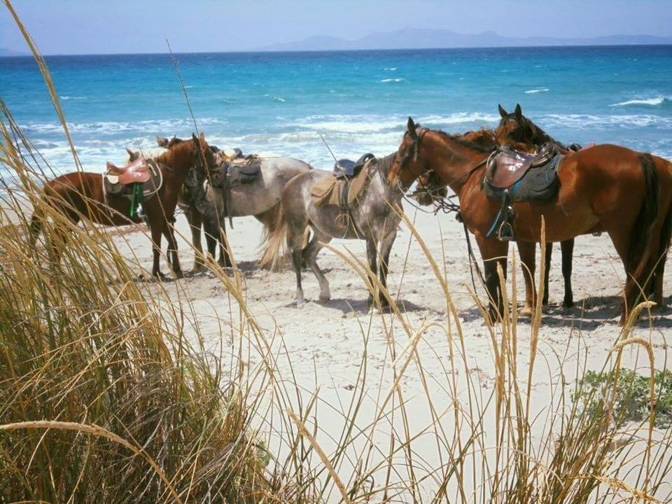Agriturismo Santa Lucia Tratalias Εξωτερικό φωτογραφία